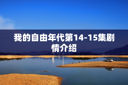 我的自由年代第14-15集剧情介绍