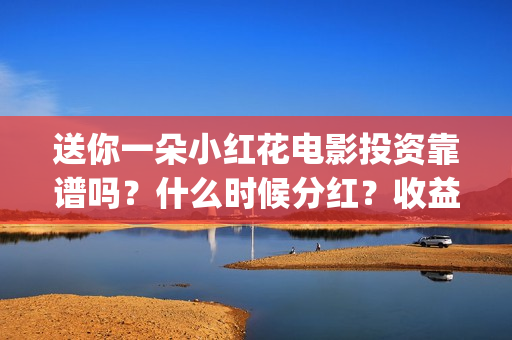 送你一朵小红花电影投资靠谱吗？什么时候分红？收益怎么算(送你一朵小红花结局)