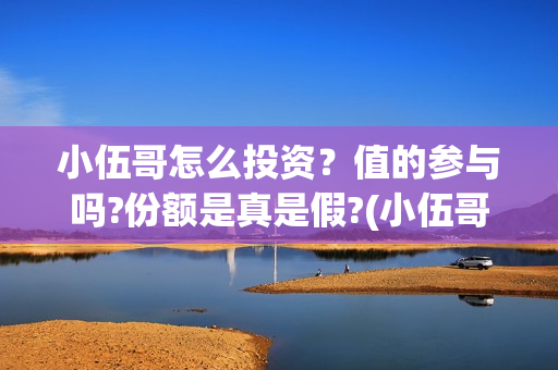 小伍哥怎么投资？值的参与吗?份额是真是假?(小伍哥出品方)