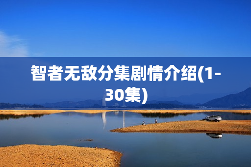 智者无敌分集剧情介绍(1-30集)