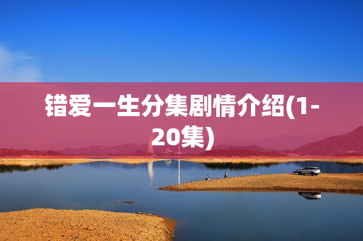 错爱一生分集剧情介绍(1-20集)