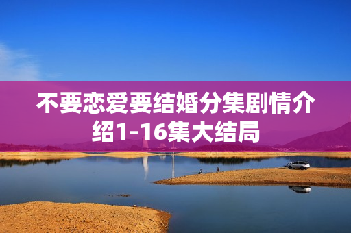 不要恋爱要结婚分集剧情介绍1-16集大结局