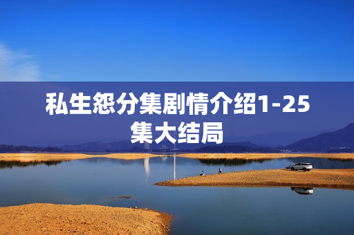 私生怨分集剧情介绍1-25集大结局