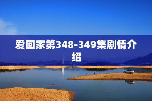 爱回家第348-349集剧情介绍