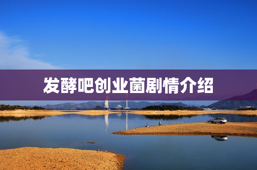 发酵吧创业菌剧情介绍