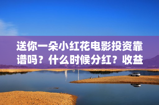 送你一朵小红花电影投资靠谱吗？什么时候分红？收益怎么算(送你一朵小红花简谱)