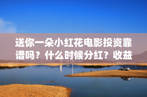 送你一朵小红花电影投资靠谱吗？什么时候分红？收益怎么算(送你一朵小红花 歌曲)