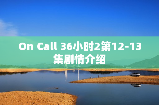 On Call 36小时2第12-13集剧情介绍