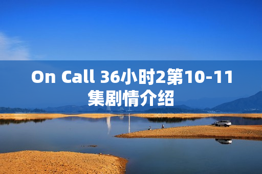 On Call 36小时2第10-11集剧情介绍