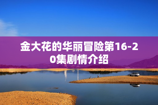 金大花的华丽冒险第16-20集剧情介绍