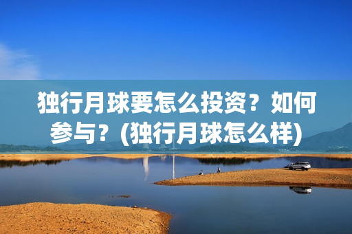 独行月球要怎么投资？如何参与？(独行月球怎么样)
