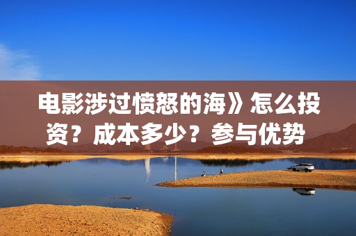 电影涉过愤怒的海》怎么投资？成本多少？参与优势 (电影涉过愤怒的海讲了什么)