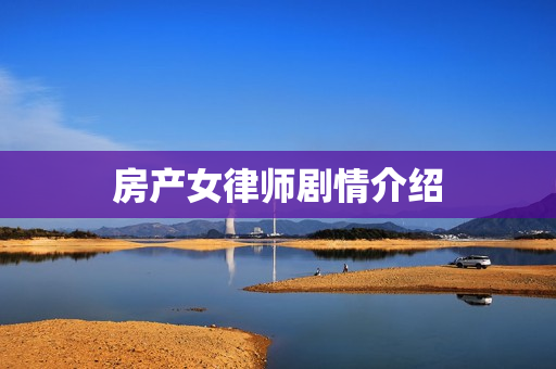 房产女律师剧情介绍