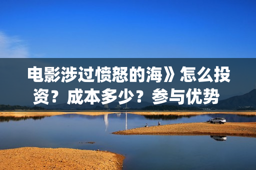 电影涉过愤怒的海》怎么投资？成本多少？参与优势 (电影涉过愤怒的海定档)