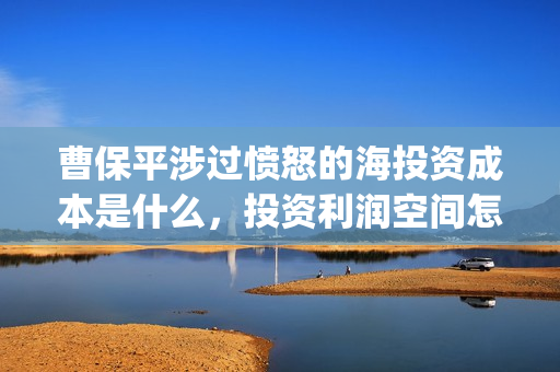 曹保平涉过愤怒的海投资成本是什么,投资利润空间怎么样(曹保平电影作品大全) 曹保平涉过愤怒的海投资成本是什么,投资利润空间怎么样(曹保平电影作品大全)