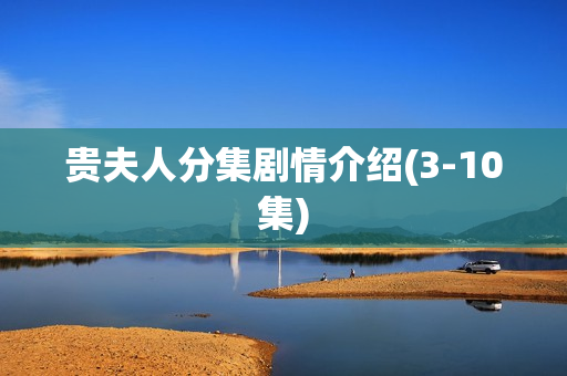 贵夫人分集剧情介绍(3-10集)