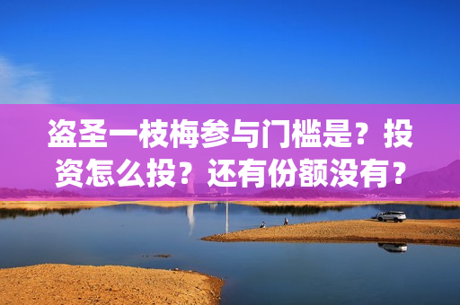 盗圣一枝梅参与门槛是?投资怎么投?还有份额没有?(盗圣一枝梅什么时候上映) 盗圣一枝梅参与门槛是?投资怎么投?还有份额没有?(盗圣一枝梅什么时候上映)