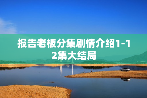 报告老板分集剧情介绍1-12集大结局