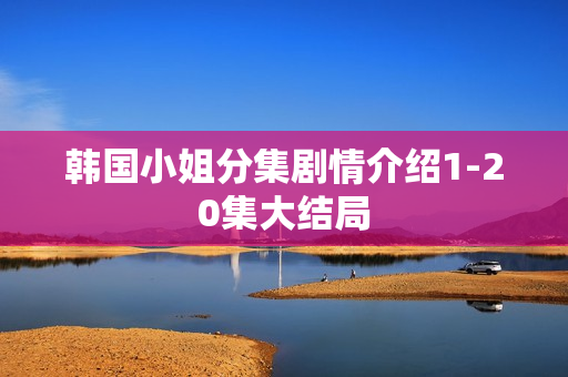 韩国小姐分集剧情介绍1-20集大结局