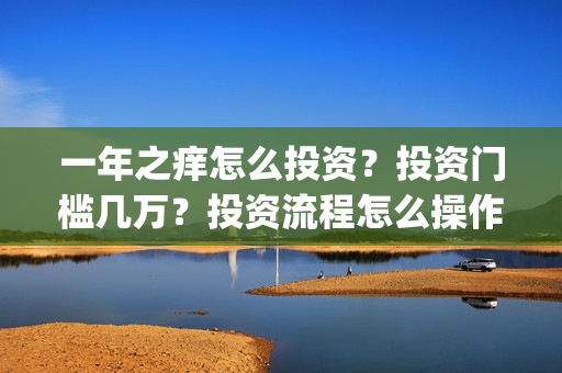 一年之痒怎么投资？投资门槛几万？投资流程怎么操作？(一年之痒什么时候预售)