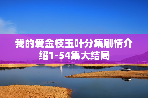 我的爱金枝玉叶分集剧情介绍1-54集大结局 我的爱金枝玉叶分集剧情介绍1-54集大结局