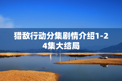 猎敌行动分集剧情介绍1-24集大结局