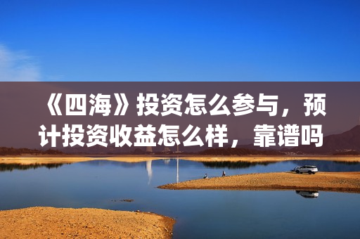 《四海》投资怎么参与，预计投资收益怎么样，靠谱吗？(电影四海投资)