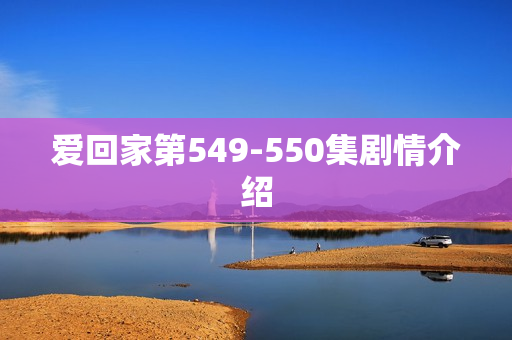 爱回家第549-550集剧情介绍