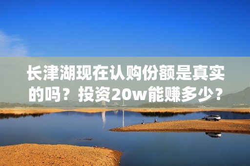长津湖现在认购份额是真实的吗？投资20w能赚多少？(长津湖预售破亿)