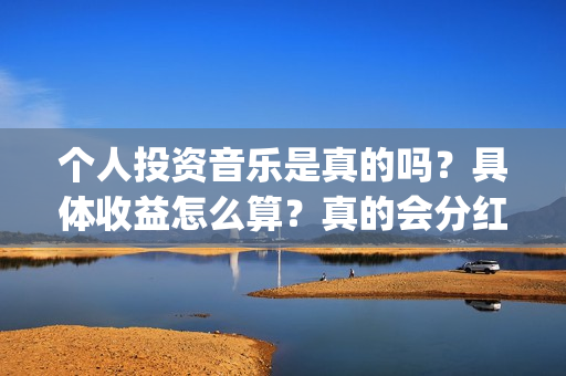 个人投资音乐是真的吗？具体收益怎么算？真的会分红吗？(个人投资音乐是做什么的)