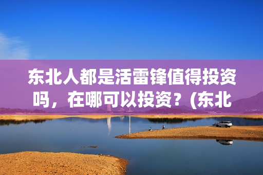 东北人都是活雷锋值得投资吗，在哪可以投资？(东北人都是活雷锋雪村mv)