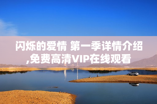 闪烁的爱情 第一季详情介绍,免费高清VIP在线观看