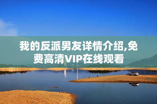 我的反派男友详情介绍,免费高清VIP在线观看