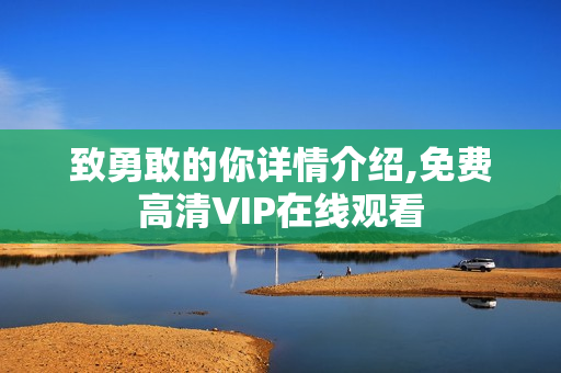 致勇敢的你详情介绍,免费高清VIP在线观看