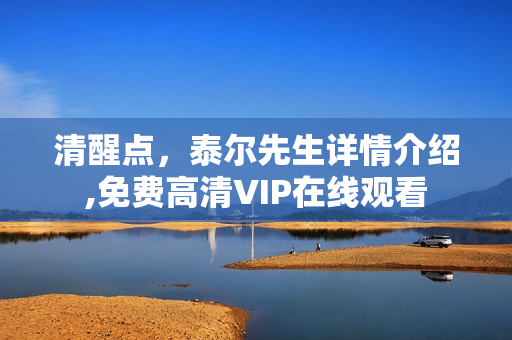 清醒点，泰尔先生详情介绍,免费高清VIP在线观看