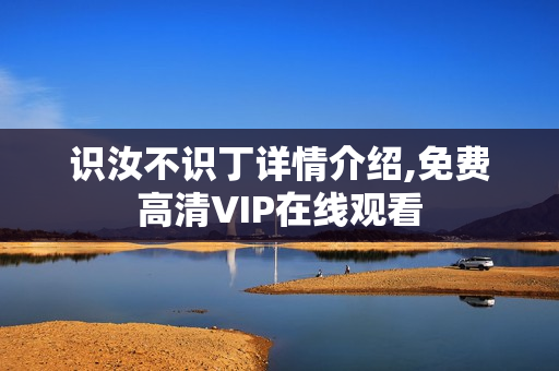 识汝不识丁详情介绍,免费高清VIP在线观看