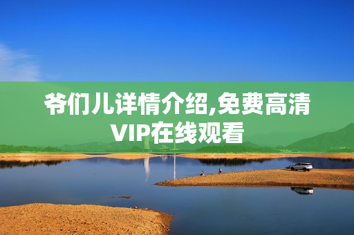 爷们儿详情介绍,免费高清VIP在线观看