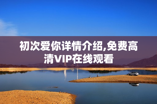初次爱你详情介绍,免费高清VIP在线观看