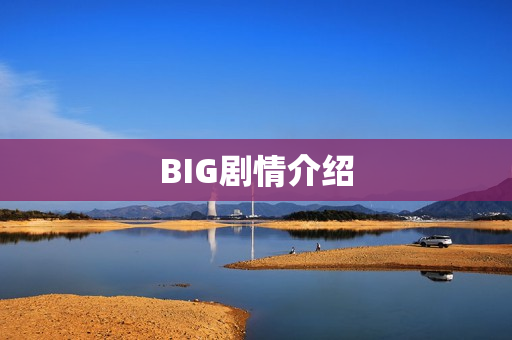 BIG剧情介绍