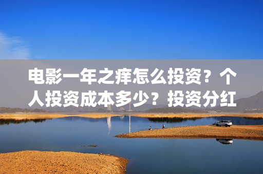 电影一年之痒怎么投资？个人投资成本多少？投资分红多久到账？(电影一年之痒怎么拍的)