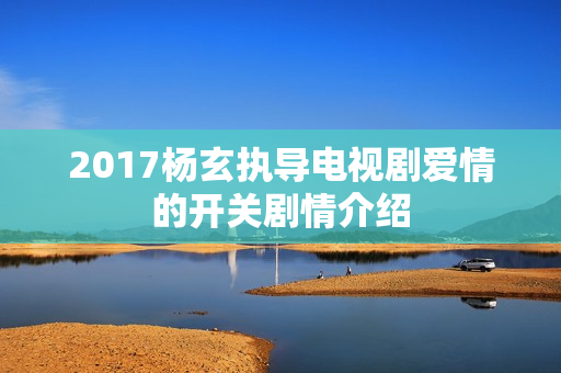2017杨玄执导电视剧爱情的开关剧情介绍