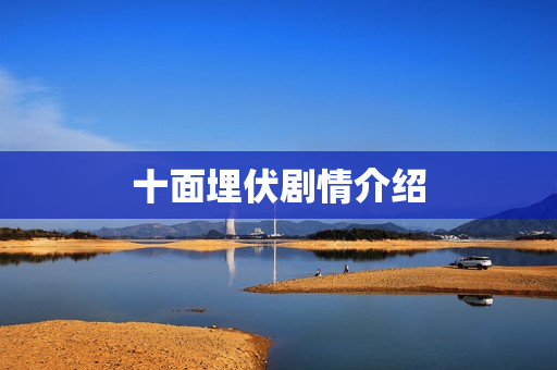 十面埋伏剧情介绍