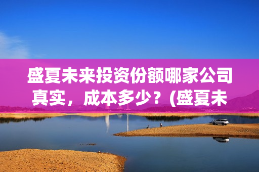 盛夏未来投资份额哪家公司真实，成本多少？(盛夏未来 投资方)