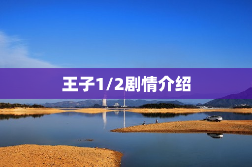 王子1/2剧情介绍