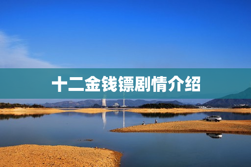 十二金钱镖剧情介绍