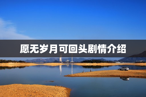 愿无岁月可回头剧情介绍 愿无岁月可回头剧情介绍