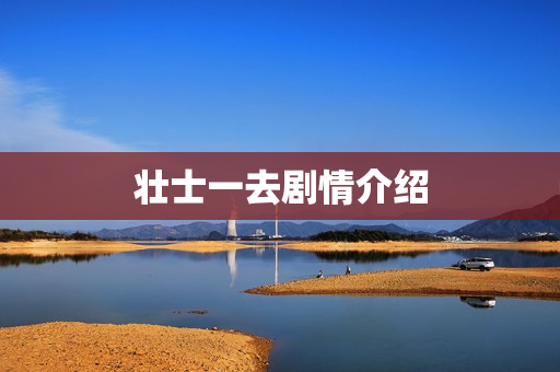 壮士一去剧情介绍