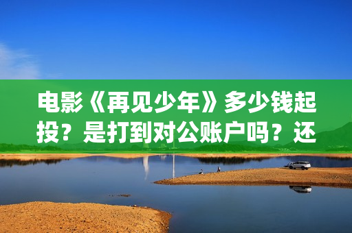 电影《再见少年》多少钱起投？是打到对公账户吗？还有投资份额吗？(再见少年电影啥意思)
