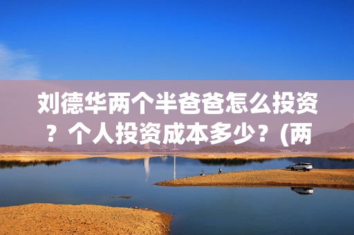 刘德华两个半爸爸怎么投资？个人投资成本多少？(两个刘德华湖南卫视)