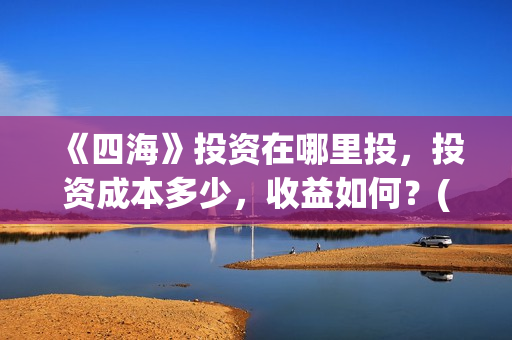 《四海》投资在哪里投，投资成本多少，收益如何？(《四海》预告片)